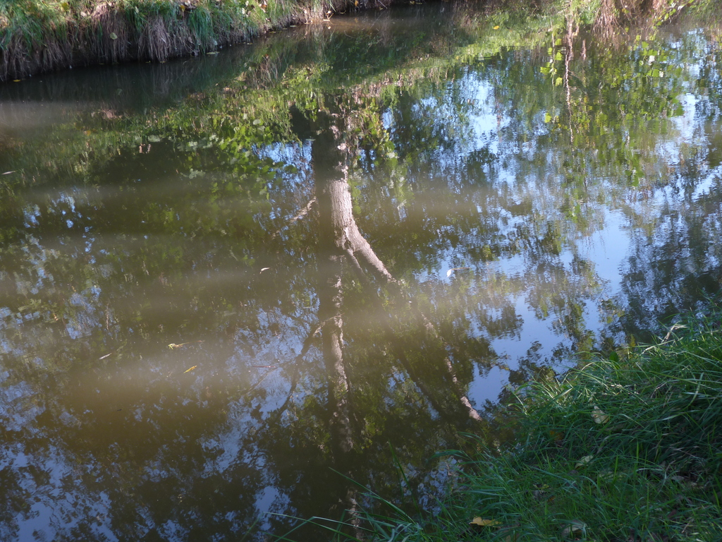 No s'ha trobat l'arxiu